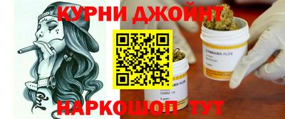 гидра Кингисепп