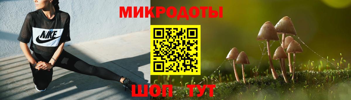 Галлюциногенные грибы Psilocybe Кубинка