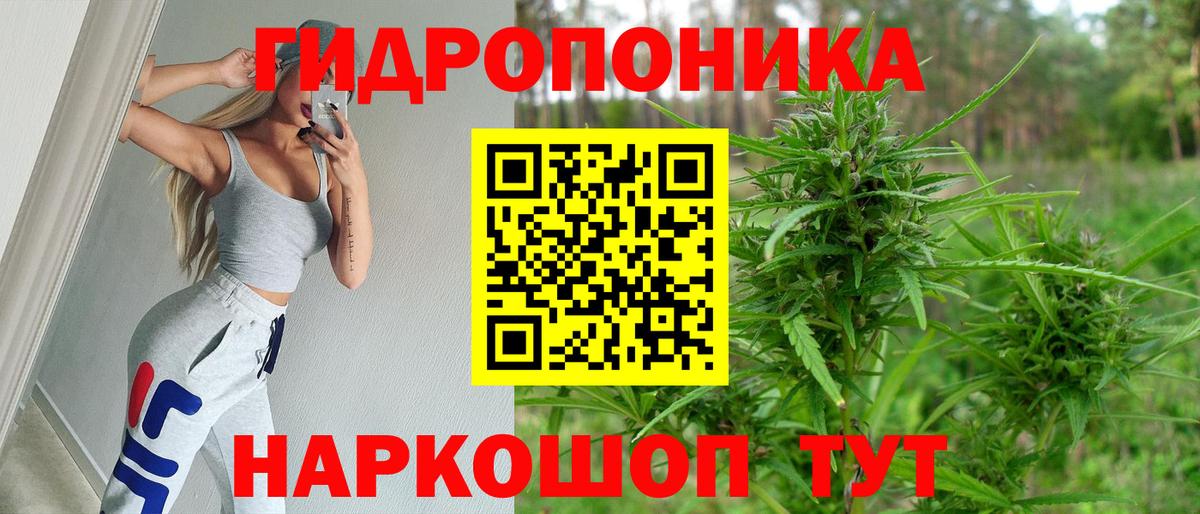 Кубинка  Бошки марихуана Bruce Banner  Бошки марихуана план  Конопля гибрид  Вход с VPN 
